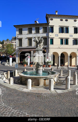 Xvi secolo fontana sormontata dal leone alato di San Marco Piazza