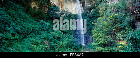 Una cascata precipita su una scogliera in una cortina di nebbia da una fitta foresta di montagna. Foto Stock