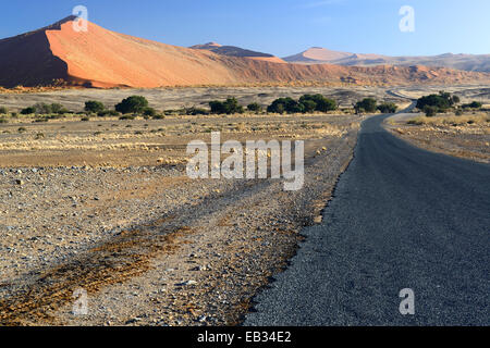 La strada attraverso il Sossusvlei salina, Sossusvlei, Namib Desert, Namib Naukluft Park, Namibia Foto Stock