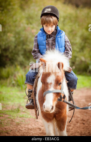 Ragazzo a cavallo di un pony, Marocco Foto Stock