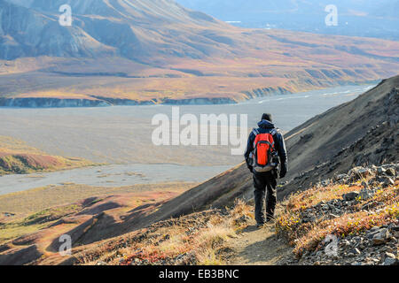 Uomo che cammina lungo il sentiero, Denali National Park, Alaska, Stati Uniti Foto Stock