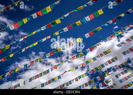 Vista ad angolo basso di file di bandiere di preghiera, Tibet Foto Stock