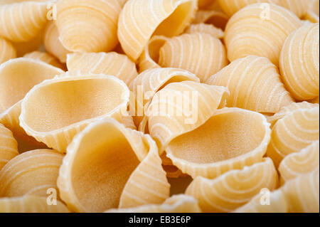 Gruppo di conchiglie pasta italiana Foto Stock