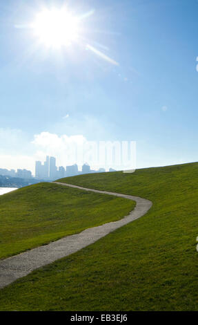 Sole che splende su strada asfaltata sul pendio erboso, Seattle, Washington, Stati Uniti Foto Stock