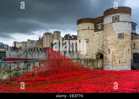 Il sangue spazzata di terre e mari di Rosso arte di installazione presso la Torre di Londra. 888,246 papaveri in ceramica piantati nella torre il fossato. Foto Stock