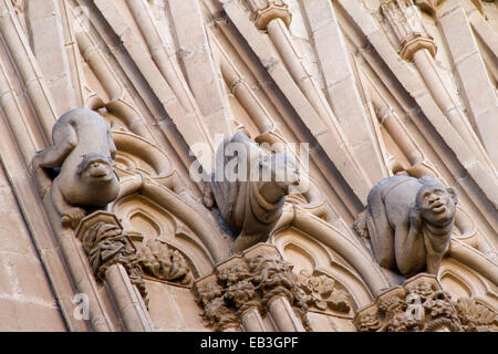 Pietra scolpita Gargoyles decorare l'esterno della cattedrale Saint Eulalia nel Barri Gotic a Barcellona,Spagna Foto Stock