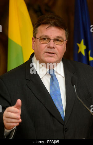 Praga, Repubblica Ceca. 25 Nov, 2014. Ministro ceco degli Affari Esteri Lubomir Zaoralek, non raffigurato, lituano e il ministro degli Affari Esteri Linas Antanas Linkevicius frequentare la conferenza stampa dopo la loro riunione a Praga Repubblica Ceca, Martedì, Novembre 25, 2014. © Michal Kamaryt/CTK foto/Alamy Live News Foto Stock