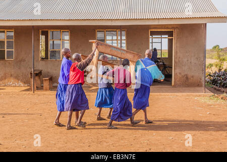 Un gruppo di Masai africani scuola bambini in movimento una scrivania al di fuori della loro scuola primaria nel nord della Tanzania. Foto Stock