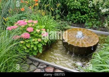 Big-lasciava ortensia (Hydrangea macrophylla) con fontana ricavata da un vecchio palmento Foto Stock