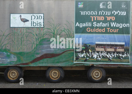 Nascondi Mobile tour. Agamon lago. La Valle di Hula. Israele Foto Stock