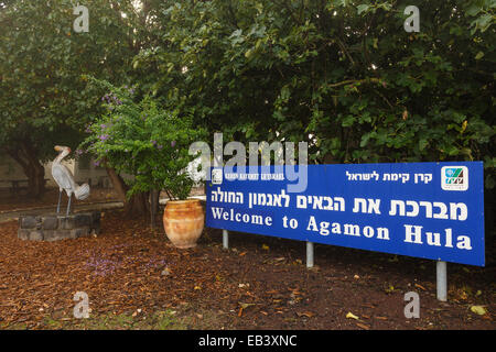 Agamon lago. La Valle di Hula. Israele Foto Stock