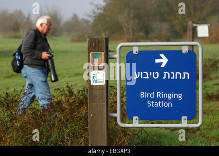 Fotografo ed inanellamento degli uccelli stazione. Agamon lago. La Valle di Hula. Israele Foto Stock