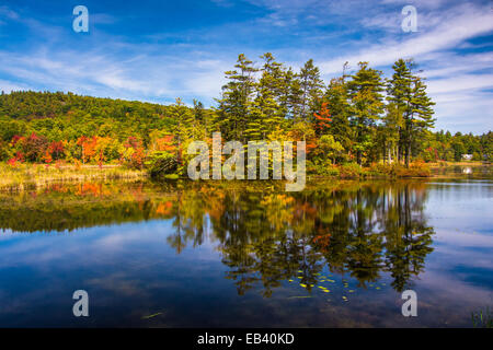 Inizio autunno di colore a nord lo stagno, vicino a Belfast, Maine. Foto Stock