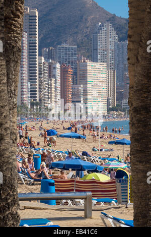 Spiaggia di Benidorm, provincia di Alicante, Costa Blanca, Spagna. tutti i gruppi di età anziani pensionati seniores a prendere il sole passeggiando a piedi rilassante vicino al mare Foto Stock