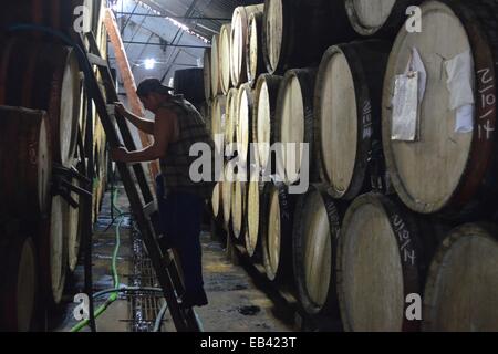 Un uomo mantiene una canna camera storage in una distilleria di rum nella provincia di Pinar del Rio di Cuba Foto Stock