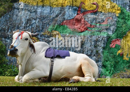 Mural de la Prehistoria un gigantesco murale dipinto su una scogliera in Vinales area di Cuba. Foto Stock