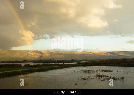 Arcobaleno e il lago. Agamon Lago. La Valle di Hula. Israele Foto Stock