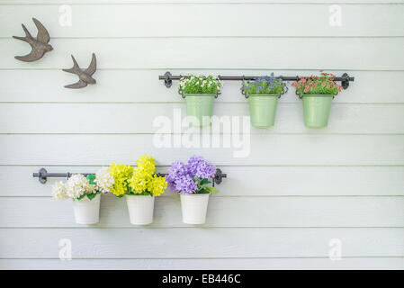 Fiori in vaso di fiori sulla parete in legno Foto Stock