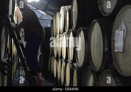 Un uomo mantiene una canna camera storage in una distilleria di rum nella provincia di Pinar del Rio di Cuba Foto Stock