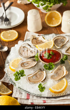 Materie organiche con ostriche limone e salsa Cockatail Foto Stock