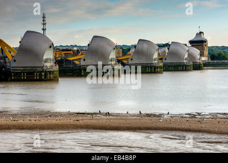 La Thames Flood Barrier sul Fiume Tamigi nella zona est di Londra Foto Stock