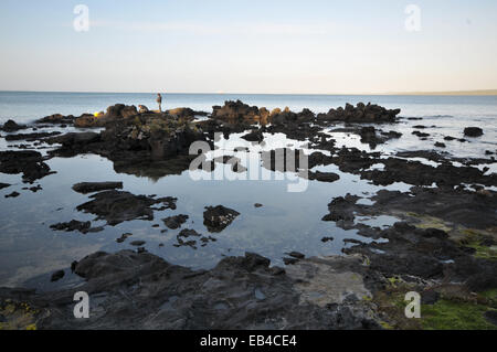 La roccia vulcanica per piscine di Takapuna, Auckland, Nuova Zelanda. Foto Stock