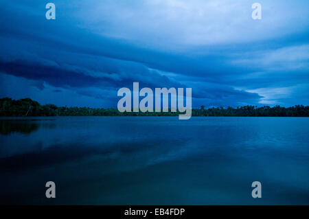 Un ripiano cloud rotoli attraverso il bacino dell'Amazzonia Foresta pluviale portando la pioggia e la notte. Foto Stock
