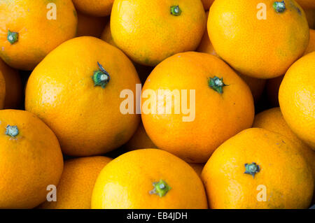 Gruppo di arance Foto Stock