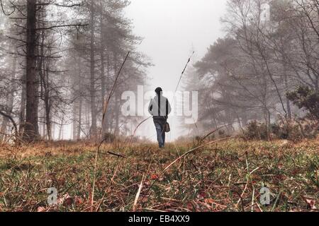 Haldon foresta, Devon, Regno Unito. 26 Novembre, 2014. Regno Unito meteo. Nebbia autunnale in Haldon foresta. Credito: nidpor/Alamy Live News Foto Stock