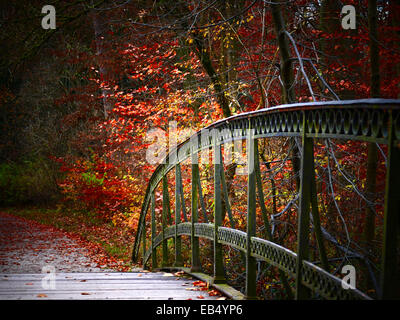 Abstract nostalgico ponte metallico nella scena di autunno Foto Stock