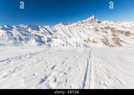 Sci alpinismo le tracce in polvere di neve con una vista maestosa di alta montagna di picco (M. Viso, 3841 m) in inverno. Posizione: Piemonte, ital Foto Stock