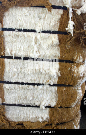 Balla di materie, cotone grezzo Foto Stock