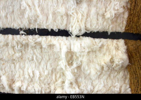 Balla di materie, cotone grezzo Foto Stock