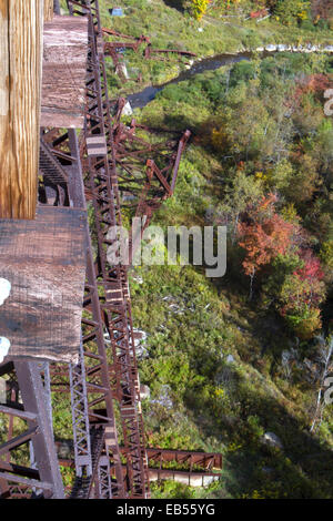 Relitto che circonda il ponte Kinzau Skywalk, situato in Pennsylvania State Park dello stesso nome, creato quando un tornado Foto Stock