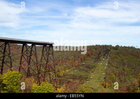 Relitto che circonda il ponte Kinzau Skywalk, situato in Pennsylvania State Park dello stesso nome, creato quando un tornado Foto Stock