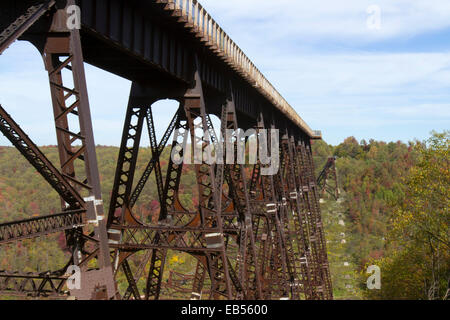 Relitto che circonda il ponte Kinzau Skywalk, situato in Pennsylvania State Park dello stesso nome, creato quando un tornado Foto Stock