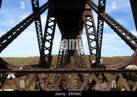 Relitto che circonda il ponte Kinzau Skywalk, situato in Pennsylvania State Park dello stesso nome, creato quando un tornado Foto Stock