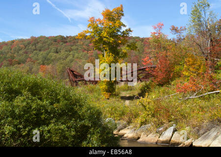 Relitto che circonda il ponte Kinzau Skywalk, situato in Pennsylvania State Park dello stesso nome, creato quando un tornado Foto Stock