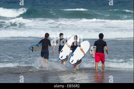 Una delle molte scuole di surf a La Cicer sulla spiaggia cittadina, Playa de Las Canteras, a Las Palmas di Gran Canaria Isole Canarie Spagna Foto Stock