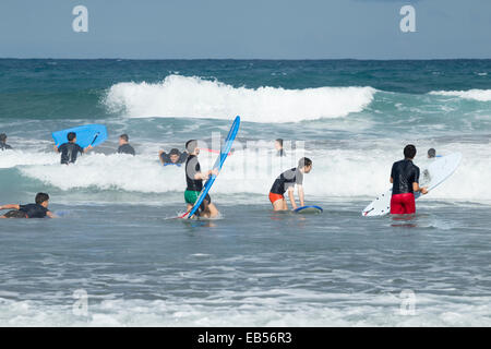 Una delle molte scuole di surf a La Cicer sulla spiaggia cittadina, Playa de Las Canteras, a Las Palmas di Gran Canaria Isole Canarie Spagna Foto Stock