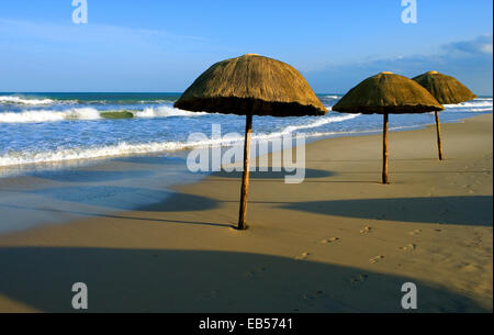 Tunisia Hammamet, ombrelloni sulla spiaggia della zona turistica di Yasmine Foto Stock