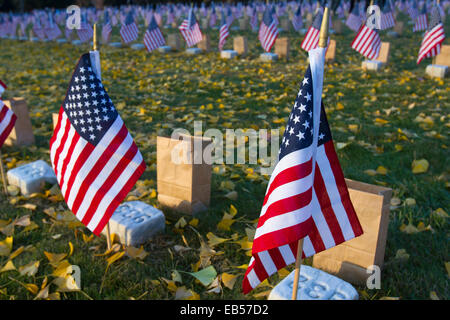 Gettysburg, PA, Stati Uniti d'America - 15 Novembre 2014 : le bandiere sulle lapidi per la XII luminare annuale cerimonia al cimitero di soldati Foto Stock