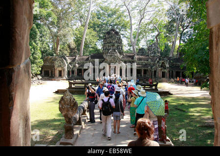 Phnom Penh Cambogia. 26 Nov, 2014. Turisti visitano Ta Prohm tempio nel complesso di Angkor a Siem Reap provincia, Cambogia, su nov. 26, 2014. Cambogia Angkor Wat, uno dei siti del Patrimonio Mondiale, ha conseguito un fatturato lordo di 47,3 milioni di dollari USA di vendite di biglietti nei primi dieci mesi del 2014, l'autorità Apsara, che è responsabile della protezione e della gestione del sito, ha detto Mercoledì. © Sovannara/Xinhua/Alamy Live News Foto Stock