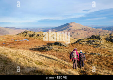 Due escursionisti di escursionismo a Gallt Wenallt y su pendii di Y Lliwedd nelle montagne del Parco Nazionale di Snowdonia (Eryri). Gwynedd, Galles del Nord, Regno Unito Foto Stock