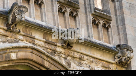 Grottesche sulla Chiesa Universitaria di St Mary Foto Stock