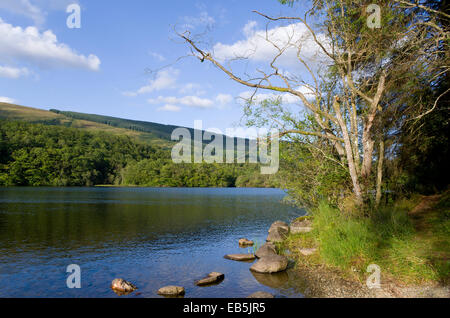 Loch Ard, Queen Elizabeth Forest Park, Trossachs, Stirlingshire, Scotland, Regno Unito Foto Stock