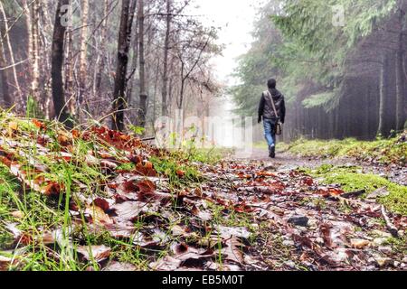 Haldon foresta, Devon, Regno Unito. 26 Novembre, 2014. Regno Unito meteo. A piedi nella nebbia autunnale in Haldon foresta. Credito: nidpor/Alamy Live News Foto Stock