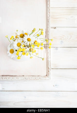 Un mazzetto di occhio di bue margherite e tansy fiori in un vaso bianco, su un vintage avorio di legno verniciato il vassoio su bianco tavola di legno Foto Stock