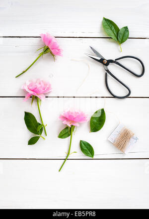 Tre Rose a spruzzo su un bianco tavola di legno con una forbice di foglie e lo spago Foto Stock