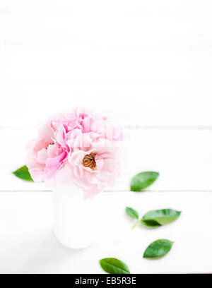 Rosa Rose a spruzzo in un vaso su uno sfondo bianco Foto Stock